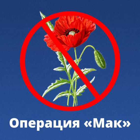 Памятка " МАК-2024". Памятка " МАК-2024".